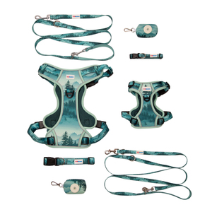 Juego de paseo para perros sin tirones de malla Oxford con logotipo personalizado con estampado de lujo con arnés, correa, collar, soporte para bolsa para caca - Product Image 5