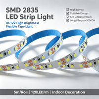 Bande LED flexible 12V 2835 120 LED CE RoHS pour extérieur et aménagement paysager – Vente en gros
