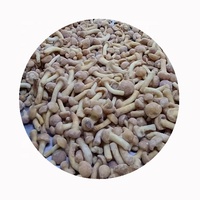 XMSD Champignons Nameko Lyophilisés Comestibles, en dés, en tranches, en morceaux, en blocs, en cubes, entiers, frais, sans sel ajouté - Disponible en gros