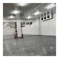 Cámara Frigorífica Completa con Equipamiento Refrigerado para Almacenamiento de Pollo y Carne