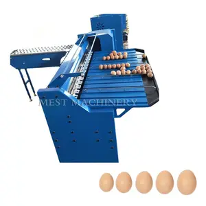 Classificador automático de tamanho de ovo de galinha, máquina de classificação de ovos em pequena escala por peso