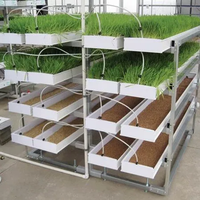Système complet de culture verticale de fourrage hydroponique pour micro-pousses, avec plateaux de culture de fourrage et herbe d'orge pour porcs et chevaux
