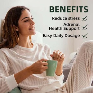 Supplément à base de plantes OEM ODM d'usine pour le soulagement du stress chez l'adulte Posologie quotidienne facile Soutien à la santé surrénale Capsules de racine d'Ashwagandha - Product Image 2