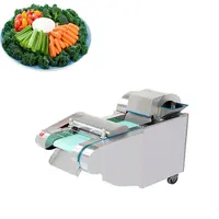 Rallador de repollo comercial eléctrico (DC, 220V 1/3HP), Revolutioniza tu  preparación de alimentos con máquinas de cortar verduras y frutas de alta  velocidad