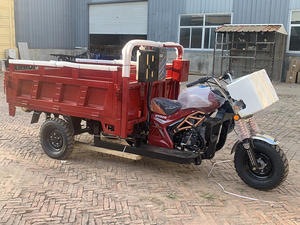 Tricycle à essence à trois roues, tricycle <span class=keywords><strong>cargo</strong></span> à essence avec fourgon ouvert profond, moto de livraison, camion à essence pour adultes, moteur 200CC - Product Image 5