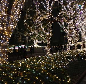 Đèn Lưới Giáng Sinh Xanh 3X2 Mét 200 LDs Đèn Lưới Cổ Tích Trang Trí Lễ Hội Ngoài Trời Không Thấm Nước - Product Image 6