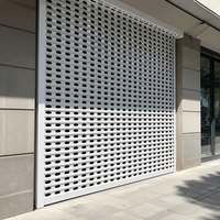Porte à enroulement électrique en aluminium perforé avec lames de sécurité ventilées pour vitrine de magasin