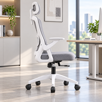 Chaise de bureau ergonomique moderne en maille avec support lombaire, base 5 étoiles en acier inoxydable, hauteur réglable pour le travail et le jeu