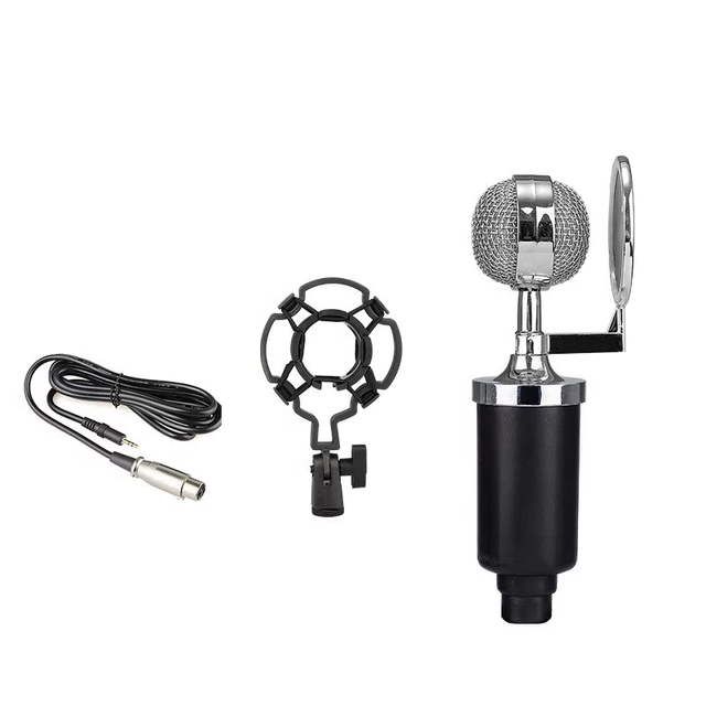 BM3000 Professional Wireless Condenser Studio Microphone Wired Vocal Recording for KTV Karaoke Mic Stand for Audio Music
