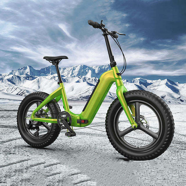 China Most Popular Low Price Ebike 1000w Electric Bicycle 20 Inch Electric Bike