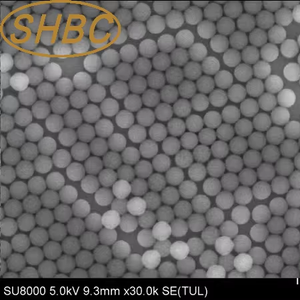 Perlas Magnéticas de Streptavidina Monodispersas con Tamaño de Partícula Uniforme para la Isolación de Ácidos Nucleicos y Ensayos de Diagnóstico - Product Image 2