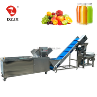 DZJX vend des lignes de production de nettoyage et de jus de fruits et légumes pour le jus de pomme, le jus d'ananas