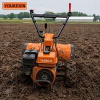 Cultivador Rotatorio Trasero de Gasolina de Alta Eficiencia con Cuchillas Contrarrotatorias para Terrenos Agrícolas 9HP, Logotipo OEM Personalizado Disponible