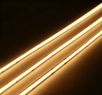Bande LED 528-LED 10mm CRI 90+ 5m, double tension DC12V/24V, couleurs fidèles, ruban double couche pour chambre et meuble TV