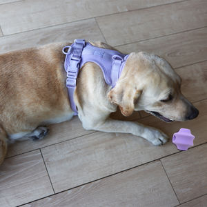 <span class=keywords><strong>Jouet</strong></span> à mâcher pour chien en caoutchouc naturel écologique, triangle, haute qualité, pour mâcheurs agressifs, tailles petites/grandes - Product Image 4