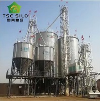 Silo à fond trémie en acier galvanisé pour le stockage de maïs, de soja et de tourteaux de soja pour l'alimentation du bétail et les usines d'aliments pour animaux