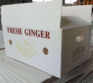 Máy Làm Tấm Nhựa PP Dạng Lưới Rỗng - Product Image 2