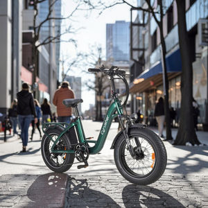 Bicicleta Eléctrica con Cuadro de Aleación de Aluminio, Batería de Litio de 48V, Sistema de Frenos de Disco, Actualizada, Tipo Rumble <span class=keywords><strong>Cyrusher</strong></span>, con Neumáticos Gruesos - Product Image 1