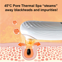 Limpiador Facial Eléctrico de Burbujas Pequeñas con Vacío, Agua Fría/Caliente, Oxígeno, Limpieza Profunda de Poros, Succión de Puntos Negros, Resistente al Agua, USB