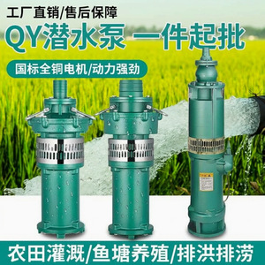ปั๊มน้ำมันแบบจุ่มใต้น้ำเฉิงหลง รุ่น QY18.5KW ทำจากเหล็กหล่อ ระยะส่งน้ำ 60 เมตร อัตราการไหลขั้นต่ำ 160 ลิตรต่อนาที ปั๊มน้ำไฟฟ้าสำหรับเปลี่ยนซ่อม - Product Image 2