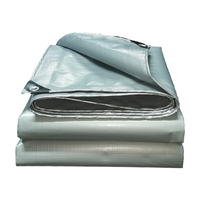 Bâche en PE imperméable, protection contre la pluie, polyéthylène, pour jardin, extérieur, camion, bateau, abri pour animaux de compagnie, maison pour chien, voiture