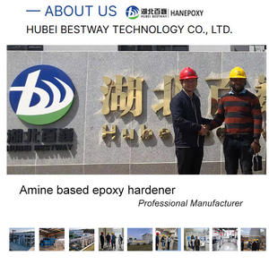 Adduct époxy polyaminoamide, durcisseur époxy à 2 composants pour résines époxy à base de solvant, construction industrielle, travail du bois - Product Image 2