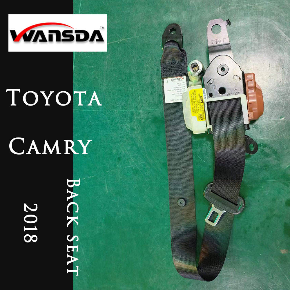 แถวหลังสีดำ