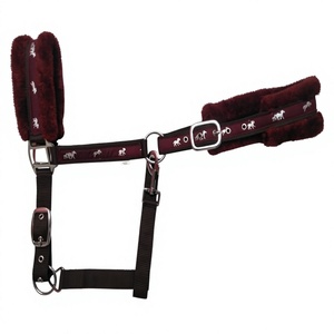 Equipo ecuestre de calidad, cabezada acolchada para caballo con doble hebilla y forro de lana, fabricante de collares para caballo en Kanpur, India. - Product Image 4