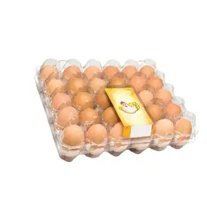 ウズラの卵トレイ製造用の最高品質の中国メーカー完全自動ライン56個