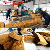 Équipement de processus du caoutchouc naturel TSR10/TSR 20/SIR 20/usine de Zhanjiang Weida
