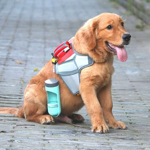 패셔너블한 접이식 휴대용 애완동물 여행용 컵 물병 급수기 필터 포함 - Product Image 6