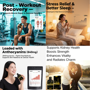 Губенхей черная Волчья ягода Polygonatum Cistanche оригинальная паста-энергетический чай для мужчин, мужская энергетическая паста - Product Image 5