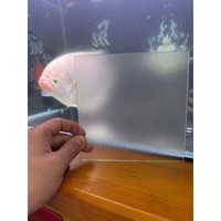 Plaque diffuseur de lumière en polycarbonate givré moderne pour toiture plate, idéale pour les applications hôtelières