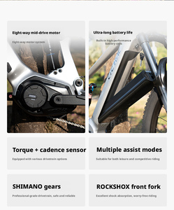 <span class=keywords><strong>Bicicleta</strong></span> Eléctrica de Montaña con Suspensión Delantera de <span class=keywords><strong>29</strong></span>/27.5 Pulgadas y 500 W, 12 Velocidades, 720 Wh, Cómoda para Carreras Todoterreno para Adultos - Product Image 5