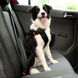 Cinturones de Seguridad para Perros en el Automóvil, Cinturón de Seguridad Ajustable de Nailon para Perros, Arnés de Seguridad Resistente para Perros en el Automóvil - Product Image 6