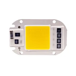 Aggiorna il nuovo Design 40*60MM 50W 220v Ac Led Module COB LED Chip