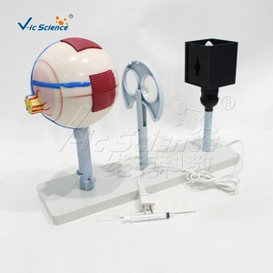 Instrument de <span class=keywords><strong>d</strong></span>émonstration <span class=keywords><strong>d</strong></span>'imagerie de globe oculaire agrandi, modèle <span class=keywords><strong>d</strong></span>'œil humain pour l'enseignement en <span class=keywords><strong>ophtalmologie</strong></span> des facultés de médecine CE/ISO/ROHS/CNAS - Product Image 2