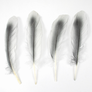 Bán Buôn Bán Mới Nhất Tự Nhiên Nhuộm Số Lượng Lớn Lông Ngỗng 17-21Cm Cho Quần Áo Trang Trí Lông - Product Image 6