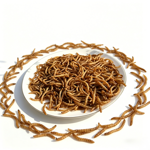 Vers de farine séchés riches en protéines pour l'alimentation des oiseaux, des poissons et des animaux – Additifs alimentaires - Product Image 3