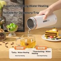 Bouilloire Électrique Portable Universelle en Acier Inoxydable 300W pour Voyage et Usage Domestique, Protection Anti-Ébullition à Sec, Garantie 1 An