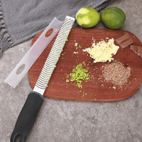 Râpe à fromage et citron en acier inoxydable, ml, lavables au lave-vaisselle, pour le gingembre, l'ail