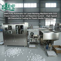 Machine de marquage laser UV automatique Bmg avec système d'inspection et de rejet par vision pour bouchons/couvercles de bouteilles en plastique - Codage rapide de codes QR
