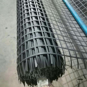Small Mesh Size 125*125 Mm Fishing <strong>Net</strong> Basket Steel Plastic Geogrid Composite Plastic <strong>Net</strong> - Product Image 5