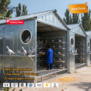 Trại chim bồ câu thép kích thước tùy chỉnh với hệ thống tích hợp cho việc chăn nuôi trọn gói - Product Image 1