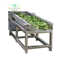 Aangepaste Shaoxing Walley roestvrijstalen 304 ontwateringsmachine voor commercieel gebruik, capaciteit 500-1000 kg/uur, CE-gecertificeerd, voor fruit en groenten