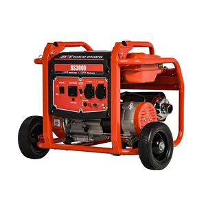 Bison Distribute 110V 170F Single Phrase 7Hp 3Kw Ats Power Gasoline Generator For Commercial