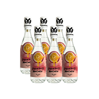 500ML Glazen Fles Passievrucht Honing Sap Concentraat 500ml Echt Fruitpulp Gezonde Smaak Dagelijkse Hydratatie