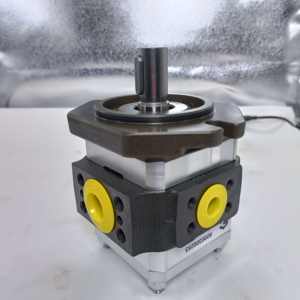 Bomba Servoaccionada Eckerle Serie <span class=keywords><strong>Eipc</strong></span>, Eipc3-040ra23-10, Eipc3-050ra23-10, Eipc5-080ra, Eipc6-125ra23-11, Bomba Hidráulica de Engranajes Eipc3 - Product Image 5