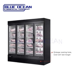 Réfrigérateur sec d'ager de boeuf bleu Offre Spéciale d'océan avec le système de refroidissement à l'air et de compresseur - Product Image 6