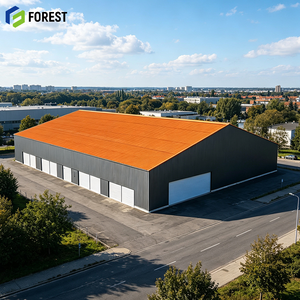 Estructura de Acero de Alta Resistencia, Diseño Personalizado, Almacén de Gran Envergadura, Edificio Prefabricado para Depósito Industrial - Product Image 1